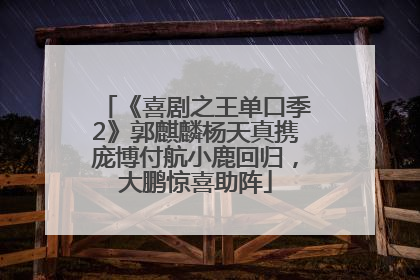 《喜剧之王单口季2》郭麒麟杨天真携庞博付航小鹿回归，大鹏惊喜助阵