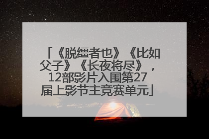 《脱缰者也》《比如父子》《长夜将尽》，12部影片入围第27届上影节主竞赛单元
