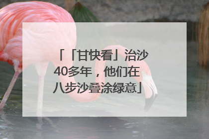「甘快看」治沙40多年，他们在八步沙叠涂绿意
