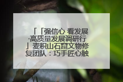 「强信心 看发展·高质量发展调研行」麦积山石窟文物修复团队：巧手匠心触摸“光阴的故事”