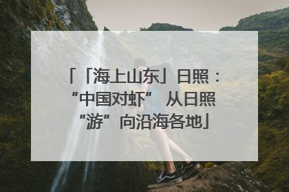 「海上山东」日照：“中国对虾” 从日照“游”向沿海各地
