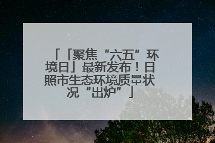 「聚焦“六五”环境日」最新发布！日照市生态环境质量状况“出炉”