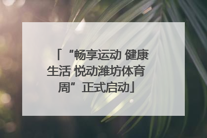 “畅享运动 健康生活 悦动潍坊体育周”正式启动