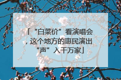 “白菜价”看演唱会，这个地方的惠民演出“声”入千万家