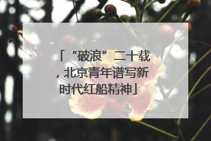 “破浪”二十载，北京青年谱写新时代红船精神