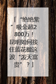 “绝绝紫”吸金超2800万！昆明如何接住蓝花楹这波“泼天富贵”？