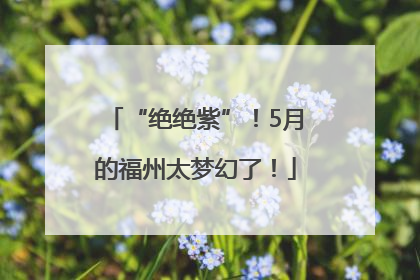 “绝绝紫”！5月的福州太梦幻了！