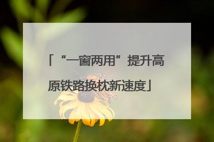 “一窗两用”提升高原铁路换枕新速度