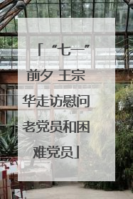 “七一”前夕 王宗华走访慰问老党员和困难党员