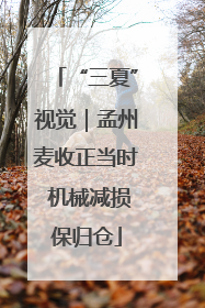 “三夏”视觉｜孟州麦收正当时 机械减损保归仓