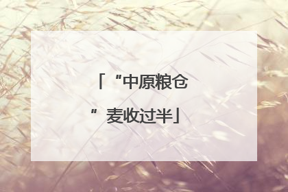 “中原粮仓”麦收过半