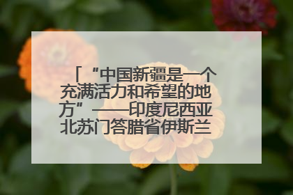 “中国新疆是一个充满活力和希望的地方”——印度尼西亚北苏门答腊省伊斯兰教代表团参访新疆
