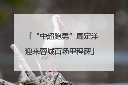 “中超跑男”周定洋迎来蓉城百场里程碑