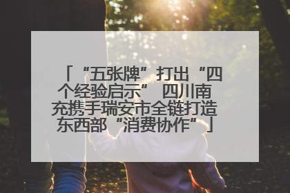 “五张牌”打出“四个经验启示” 四川南充携手瑞安市全链打造东西部“消费协作”