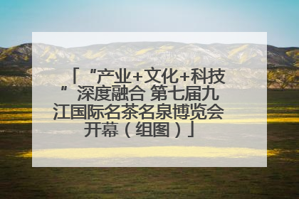 “产业+文化+科技”深度融合 第七届九江国际名茶名泉博览会开幕（组图）