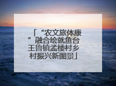 “农文旅体康”融合绘就鱼台王鲁镇孟楼村乡村振兴新图景