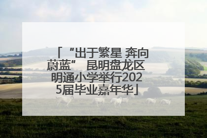 “出于繁星 奔向蔚蓝” 昆明盘龙区明通小学举行2025届毕业嘉年华