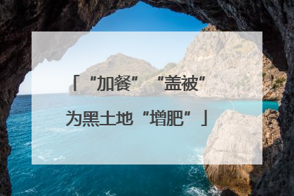 “加餐”“盖被” 为黑土地“增肥”