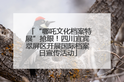 “哪吒文化档案特展”抢眼！四川宜宾翠屏区开展国际档案日宣传活动