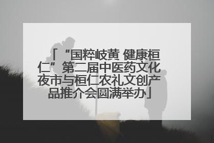 “国粹岐黄 健康桓仁”第二届中医药文化夜市与桓仁农礼文创产品推介会圆满举办