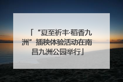 “夏至祈丰·稻香九洲”插秧体验活动在南昌九洲公园举行