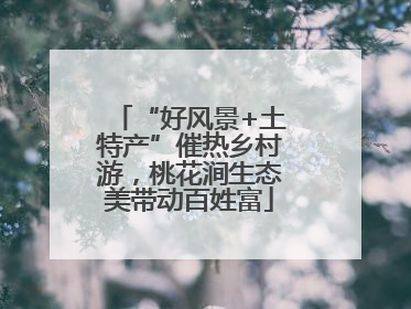“好风景+土特产”催热乡村游，桃花涧生态美带动百姓富