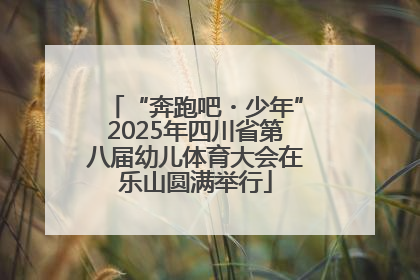 “奔跑吧・少年”2025年四川省第八届幼儿体育大会在乐山圆满举行