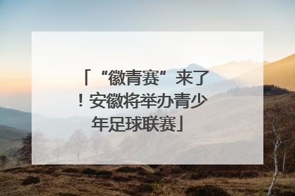“徽青赛”来了！安徽将举办青少年足球联赛