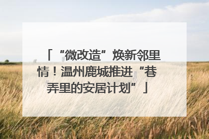 “微改造”焕新邻里情！温州鹿城推进“巷弄里的安居计划”
