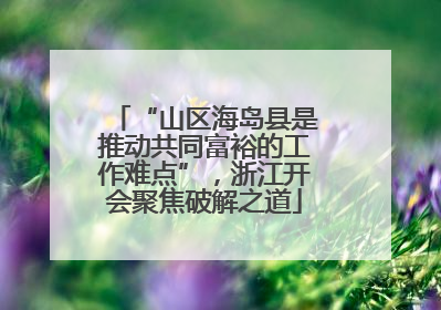 “山区海岛县是推动共同富裕的工作难点”，浙江开会聚焦破解之道