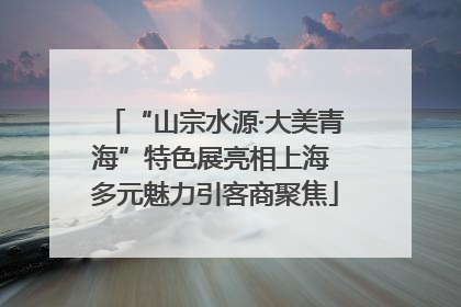 “山宗水源·大美青海”特色展亮相上海 多元魅力引客商聚焦