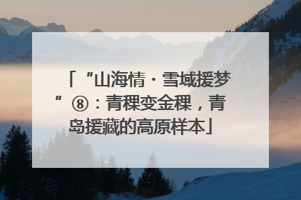 “山海情・雪域援梦”⑧：青稞变金稞，青岛援藏的高原样本