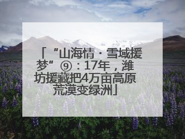 “山海情・雪域援梦”⑨：17年，潍坊援藏把4万亩高原荒漠变绿洲