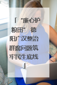 “廉心护粮田” 德阳广汉整治群腐问题筑牢民生底线
