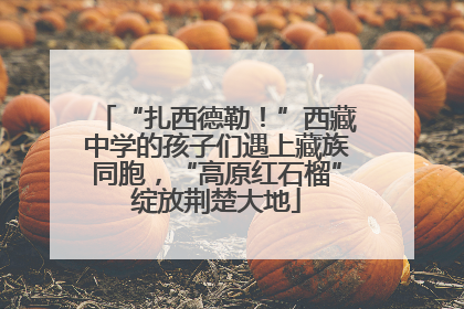 “扎西德勒！”西藏中学的孩子们遇上藏族同胞，“高原红石榴”绽放荆楚大地