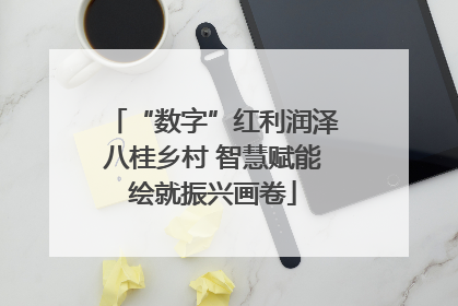 “数字”红利润泽八桂乡村 智慧赋能绘就振兴画卷