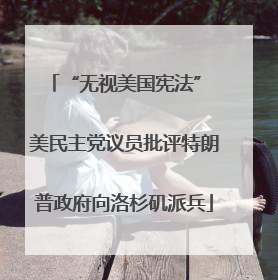 “无视美国宪法” 美民主党议员批评特朗普政府向洛杉矶派兵