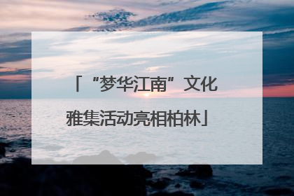 “梦华江南”文化雅集活动亮相柏林