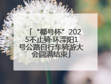 “椰号杯”2025不止骑·环溧阳1号公路自行车骑游大会圆满结束