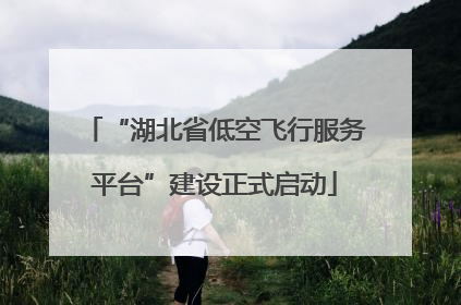 “湖北省低空飞行服务平台”建设正式启动