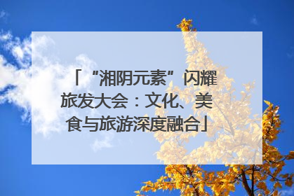 “湘阴元素”闪耀旅发大会：文化、美食与旅游深度融合