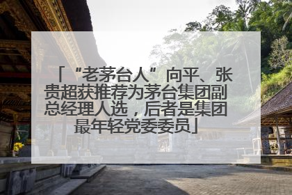 “老茅台人”向平、张贵超获推荐为茅台集团副总经理人选，后者是集团最年轻党委委员