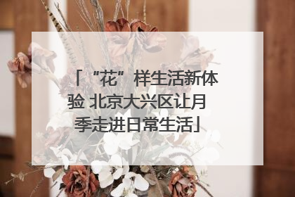 “花”样生活新体验 北京大兴区让月季走进日常生活