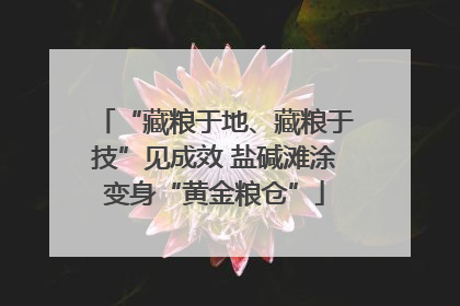 “藏粮于地、藏粮于技”见成效 盐碱滩涂变身“黄金粮仓”