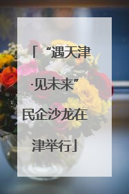 “遇天津·见未来”民企沙龙在津举行