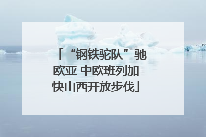 “钢铁驼队”驰欧亚 中欧班列加快山西开放步伐