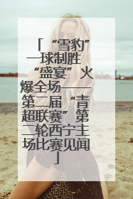 “雪豹”一球制胜 “盛宴”火爆全场——第二届“青超联赛”第二轮西宁主场比赛见闻