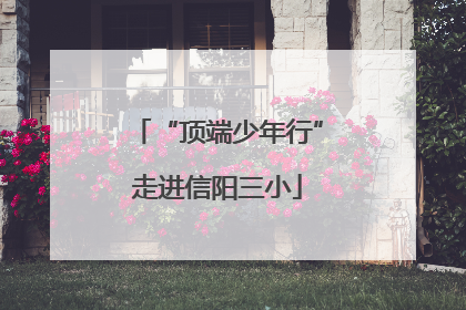 “顶端少年行”走进信阳三小