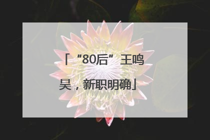 “80后”王鸣昊，新职明确