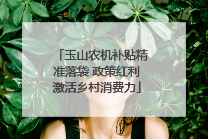 玉山农机补贴精准落袋 政策红利激活乡村消费力